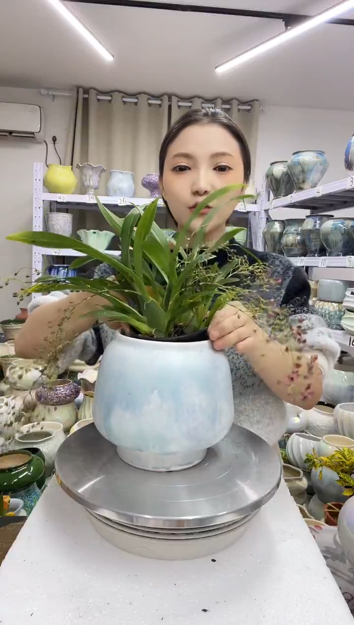 【12.25】花盆链接 高：16  口：12