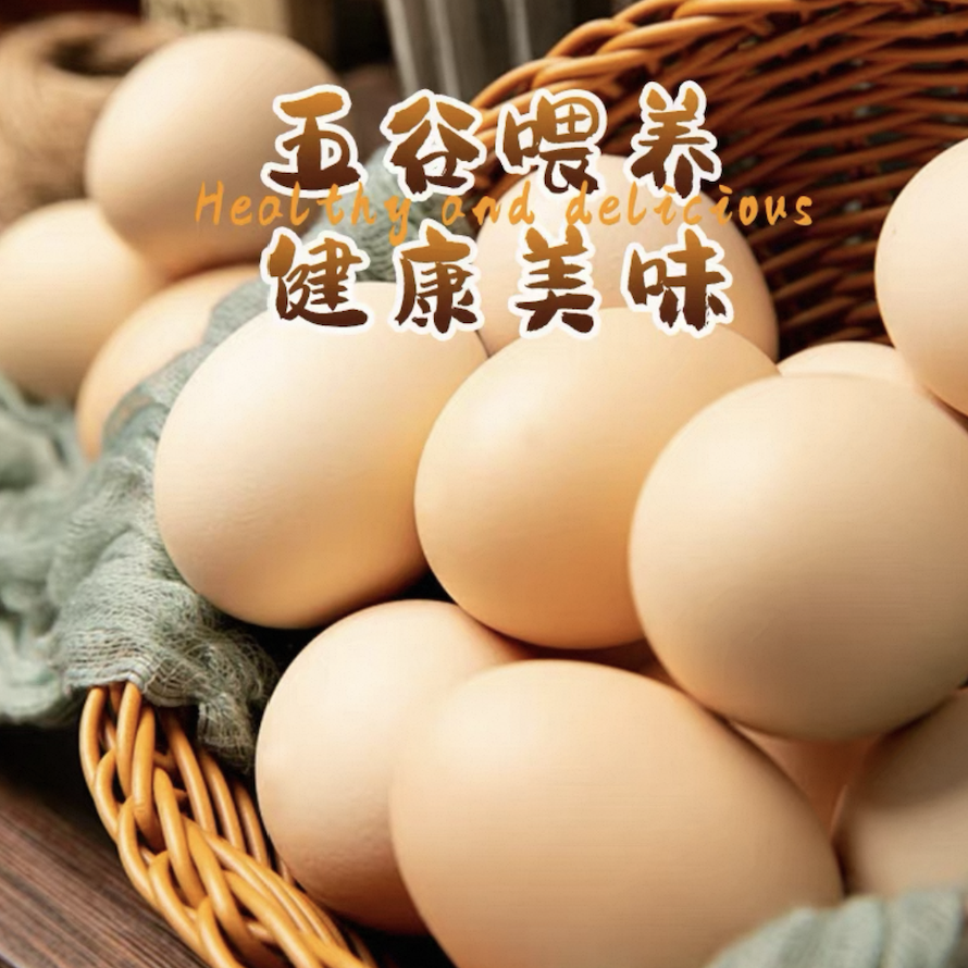 崇明土鸡蛋西红柿跃进农场无抗土鸡蛋初生蛋30枚