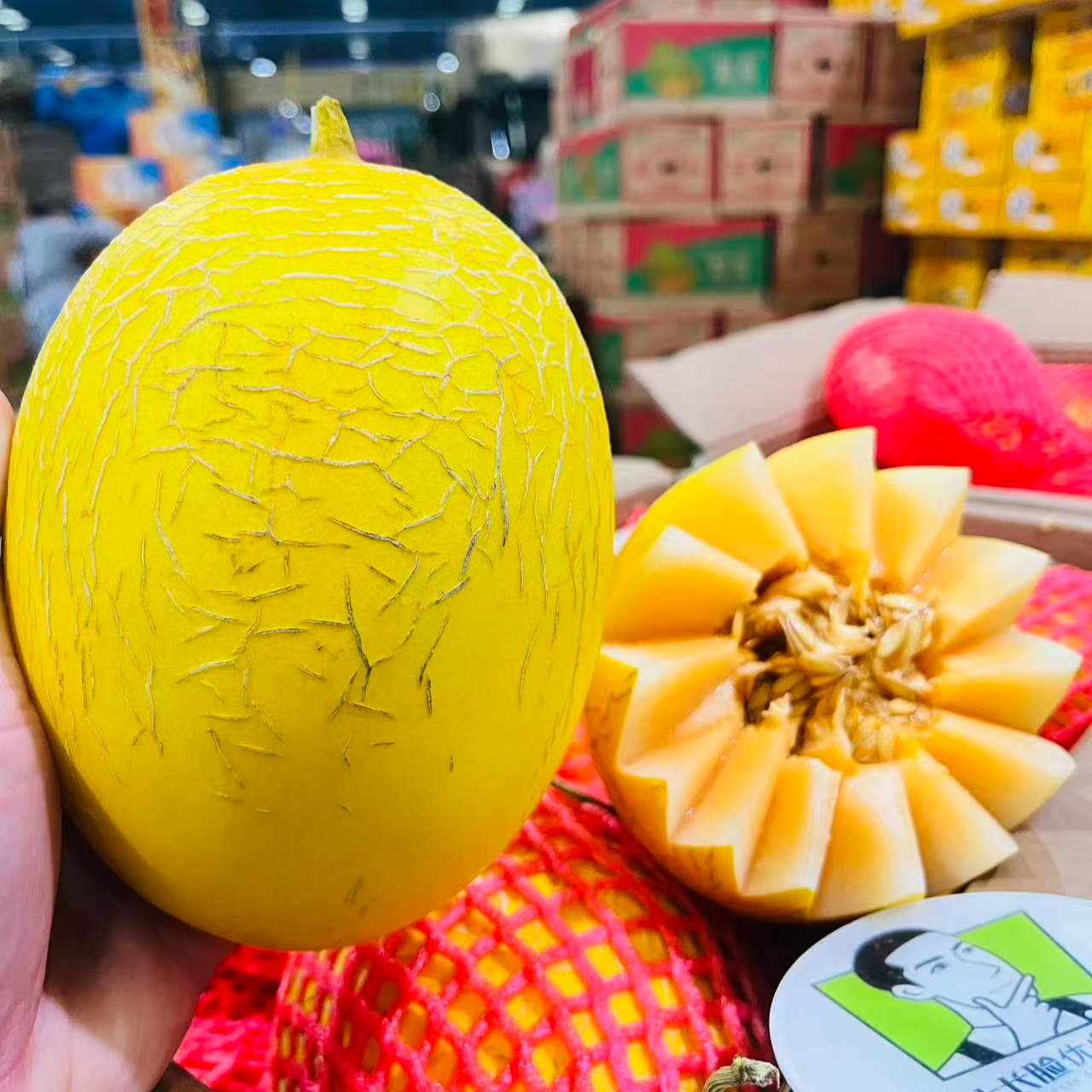 北海一号金蛋脆蜜瓜1枚