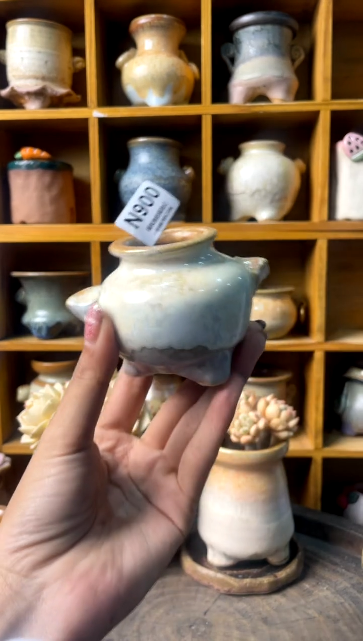 900内口3【多肉花盆多肉盆】