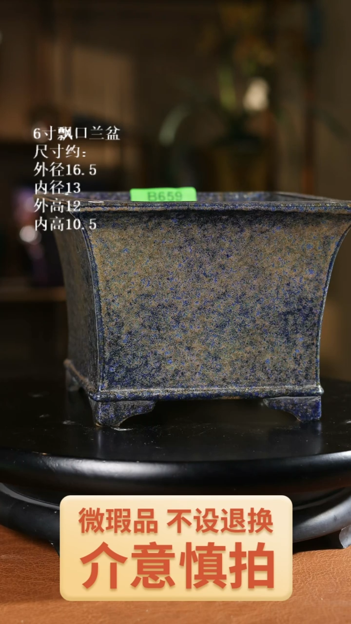 6寸飘口兰盆 659