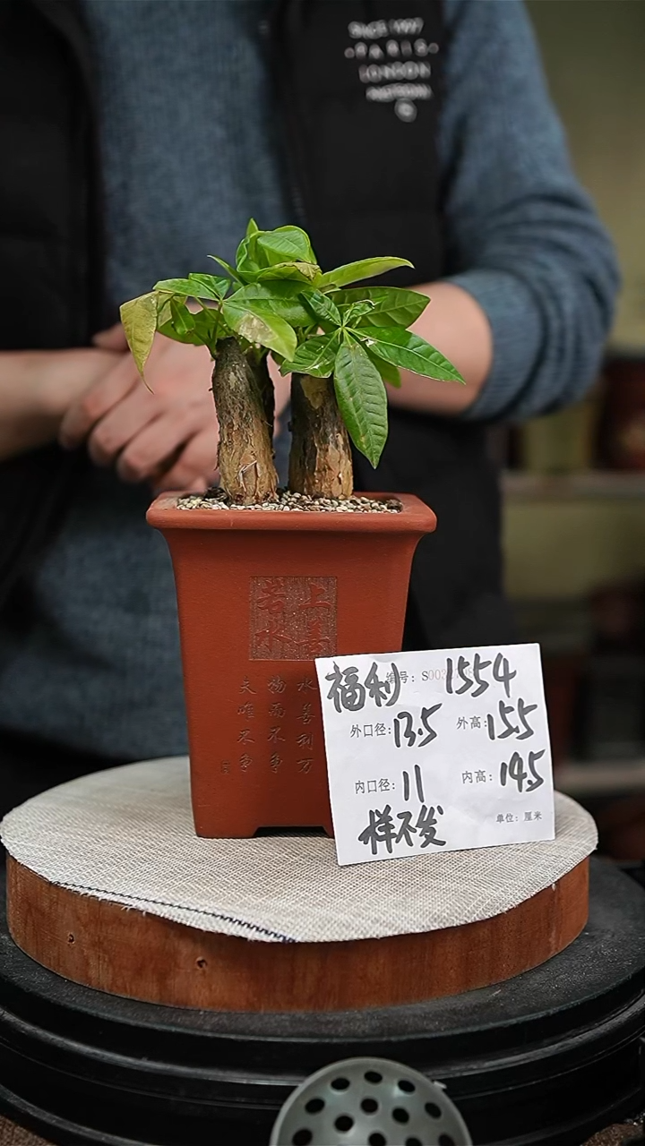 【闪购商品】紫砂花盆紫砂花盆1554