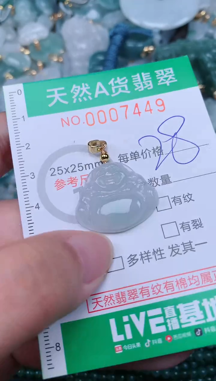 翡翠未镶嵌颈饰.0007449