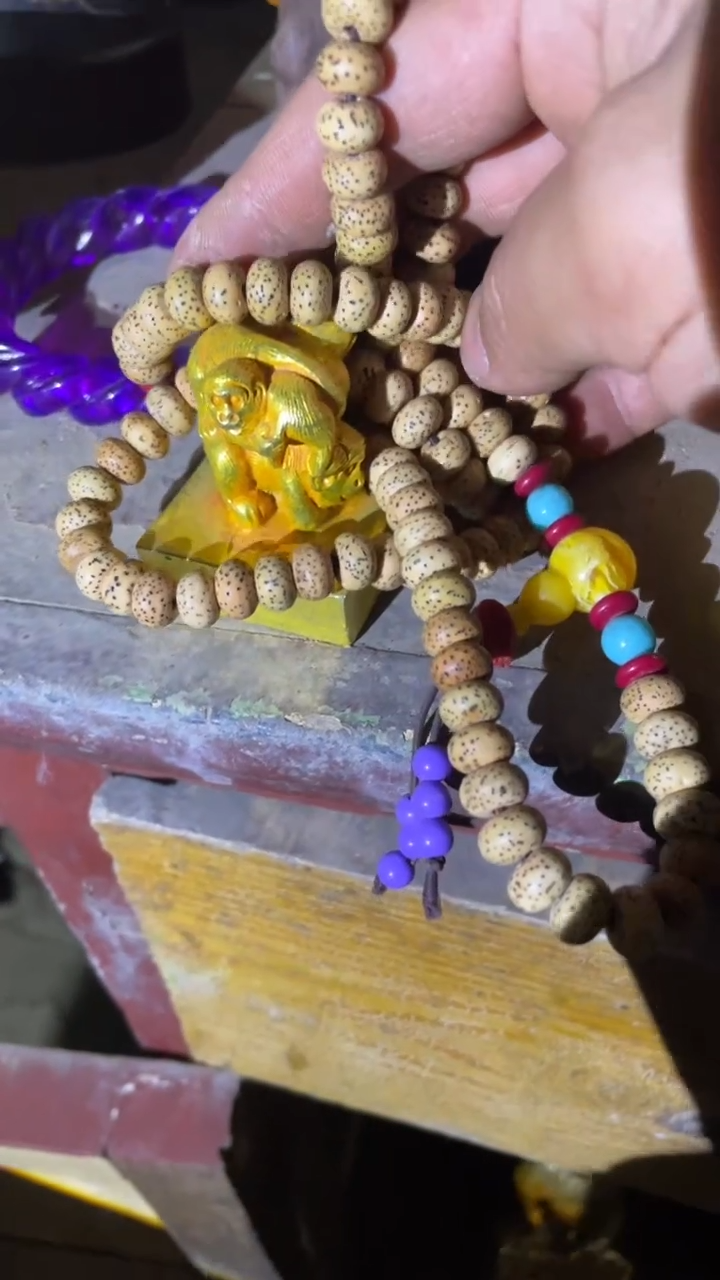 【闪购商品】菩提根/象牙果吊坠精品好物 好物菩提