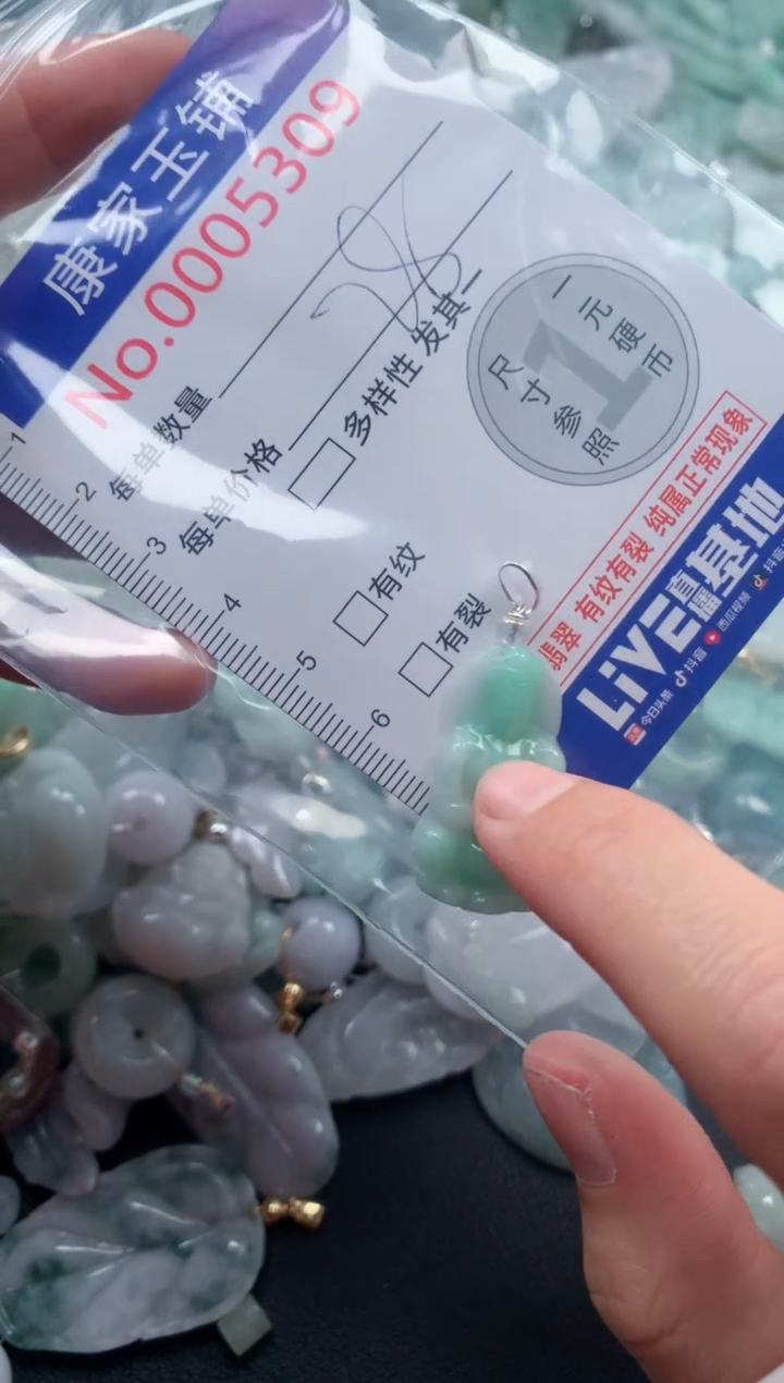 颈饰未镶嵌翡翠5309