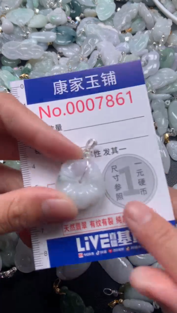 颈饰未镶嵌翡翠7861