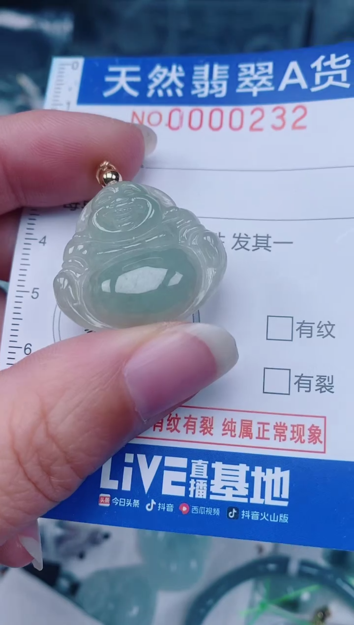 颈饰未镶嵌翡翠00000232