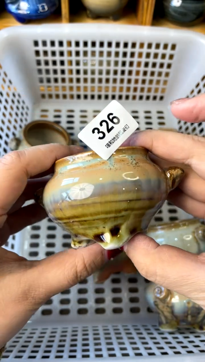 【闪购商品】陶326