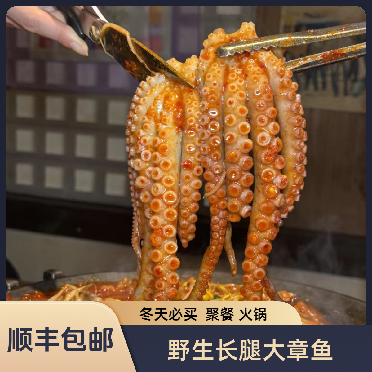 【长腿八爪鱼】韩料火锅大章鱼酱烧新鲜大章鱼海鲜水产鱼大爆头