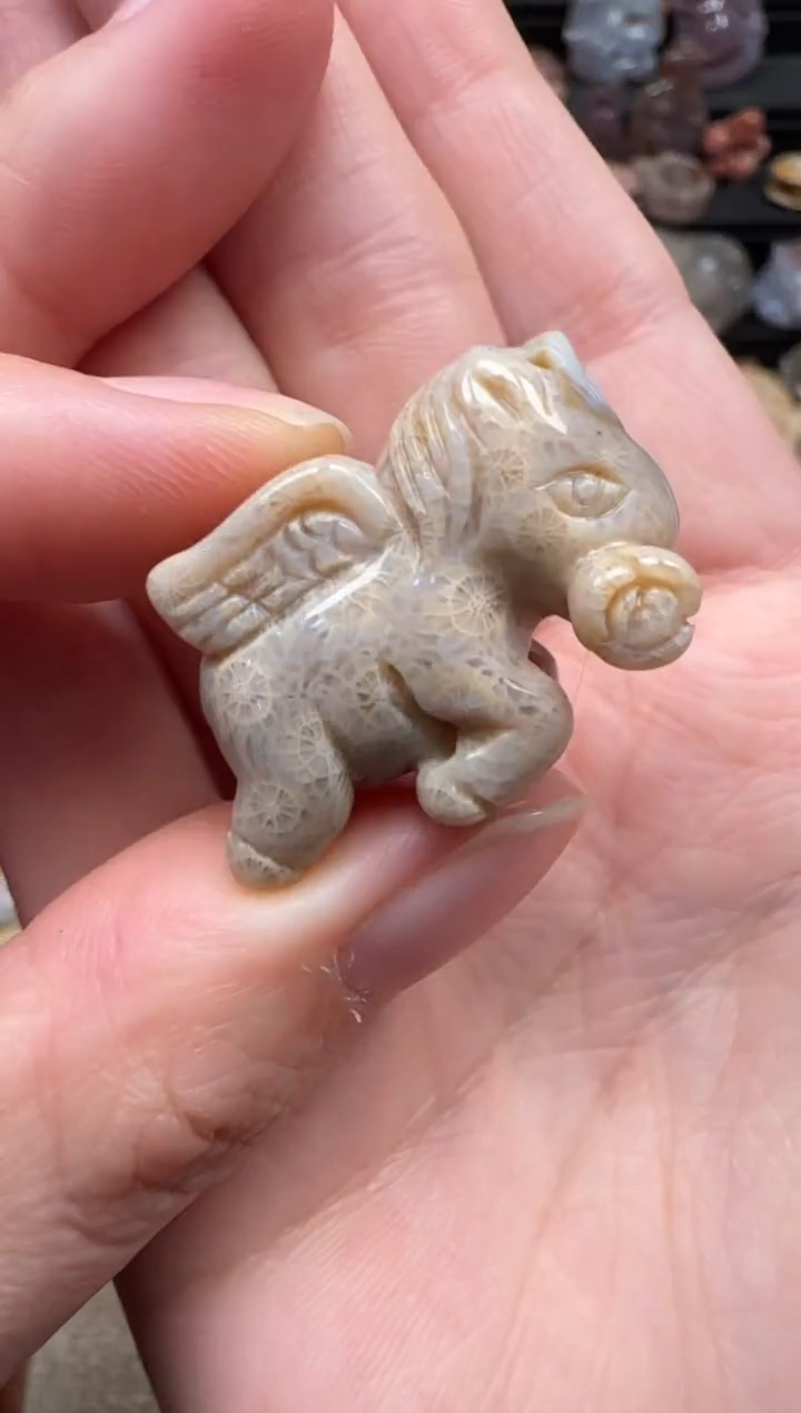 颈饰未镶嵌硅化珊瑚（珊瑚玉）314