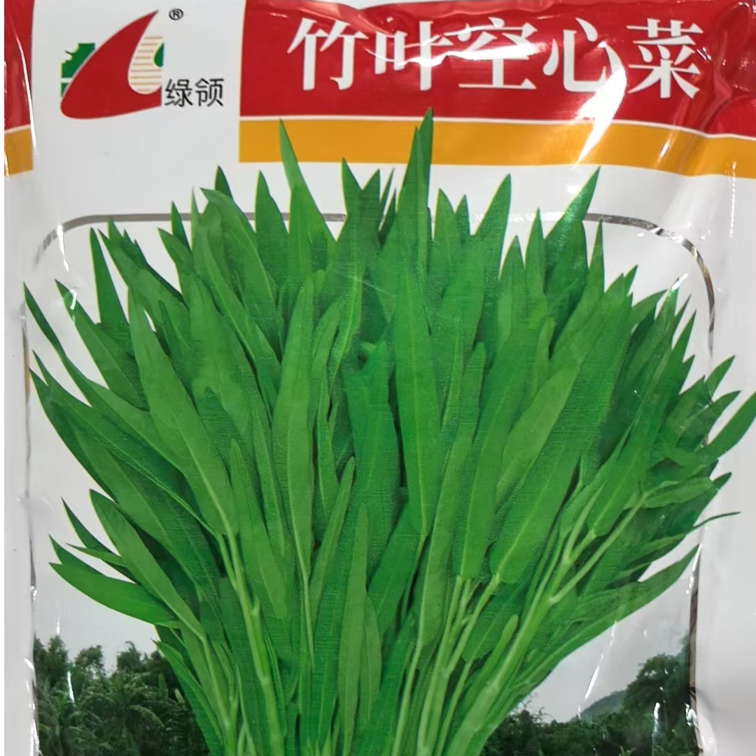 竹叶空心菜种子好吃商品性好