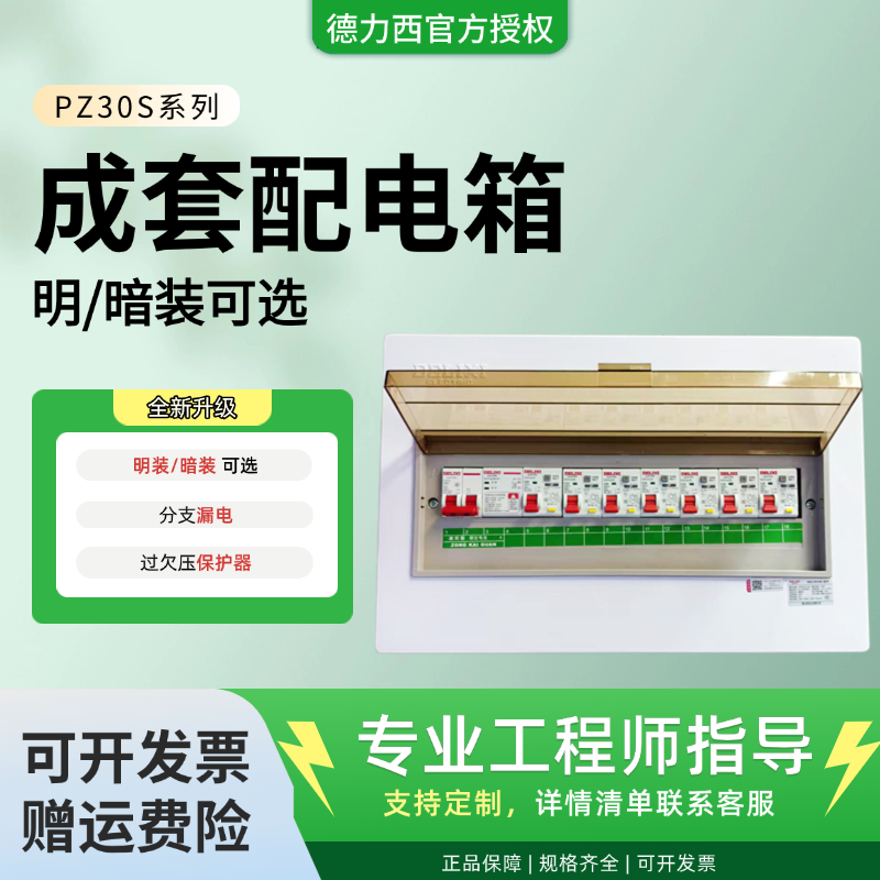 德力西PZ30箱子暗装明装总开+分支漏电+欠压保护器