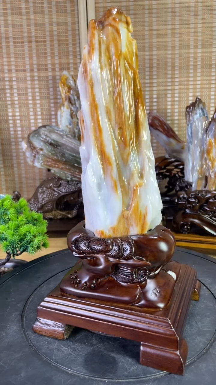 硅化玉珠宝奇石未镶嵌480