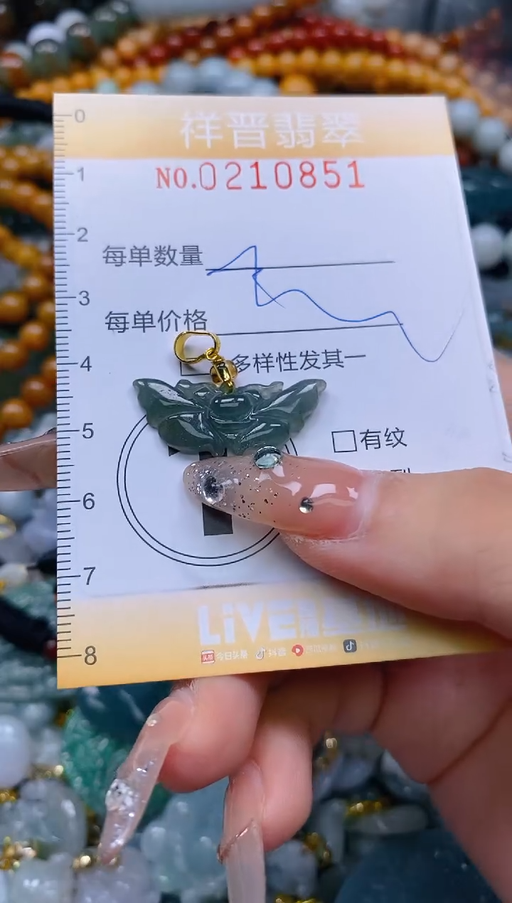 翡翠未镶嵌颈饰闪购0210851