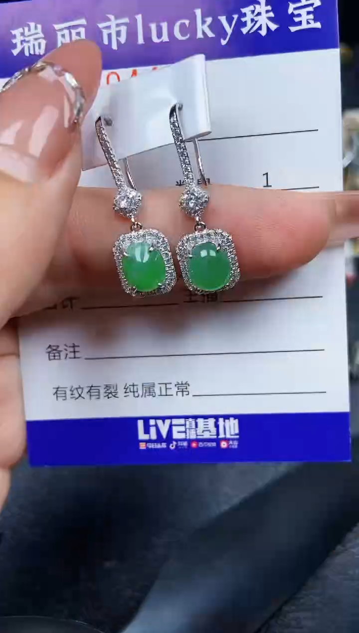 翡翠银S925镶嵌颈饰4493