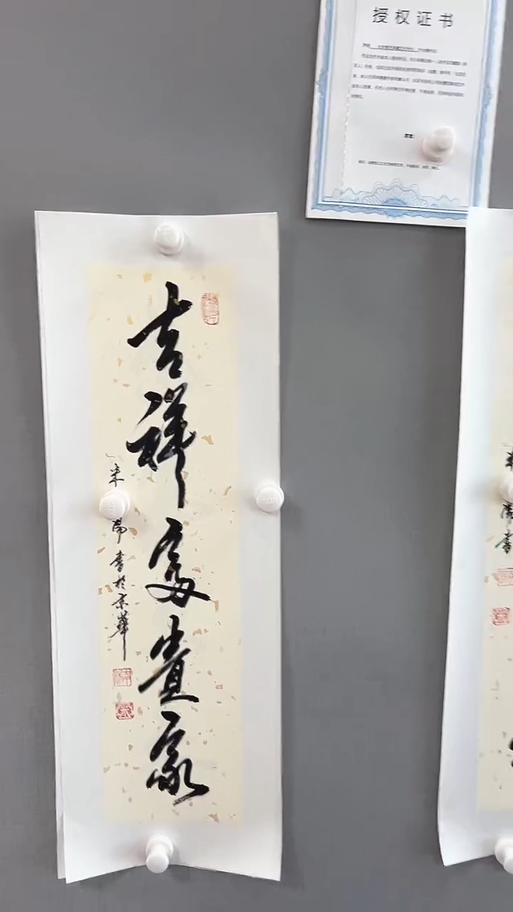 【闪购商品】书法雅艺典藏文化书法