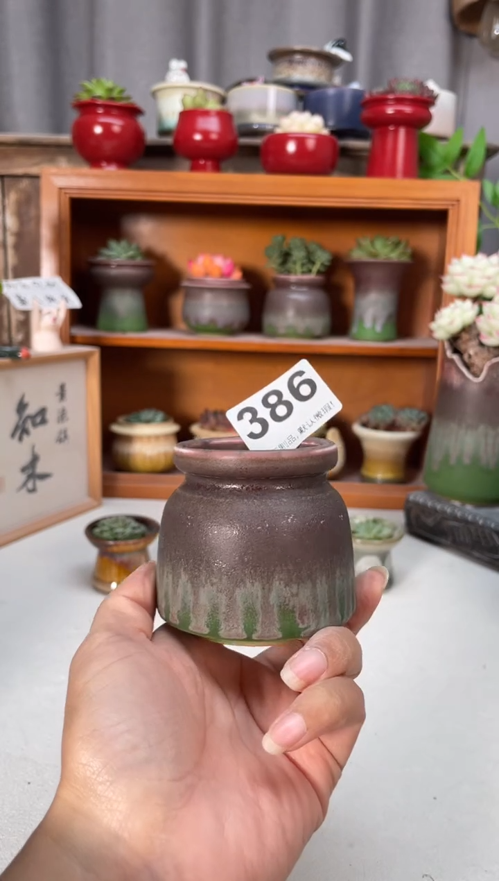 瓷片386知木小芳花盆