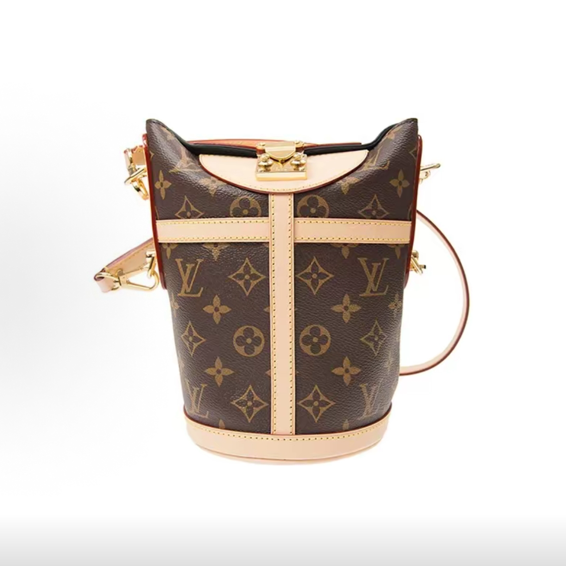 95新 LouisVuitton/路易威登 薯条包-G0501