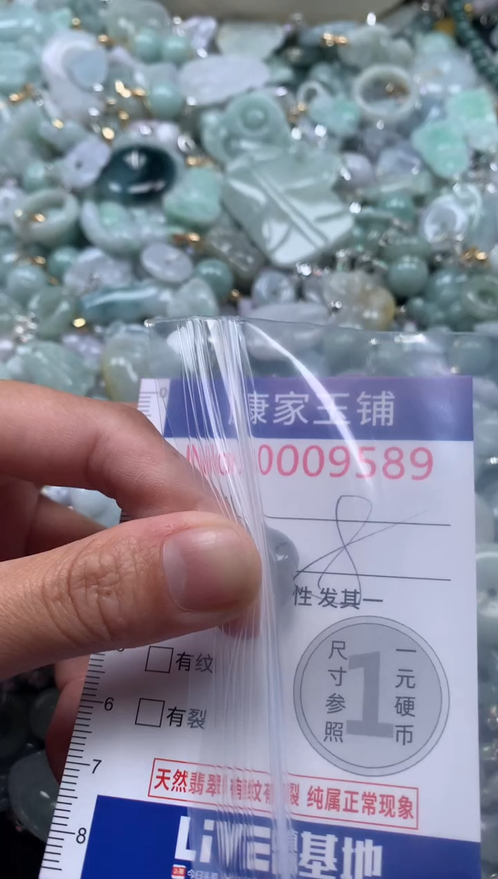 颈饰未镶嵌翡翠9589