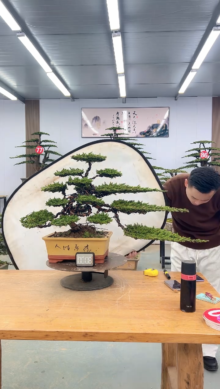 无花朵000000000000000000000