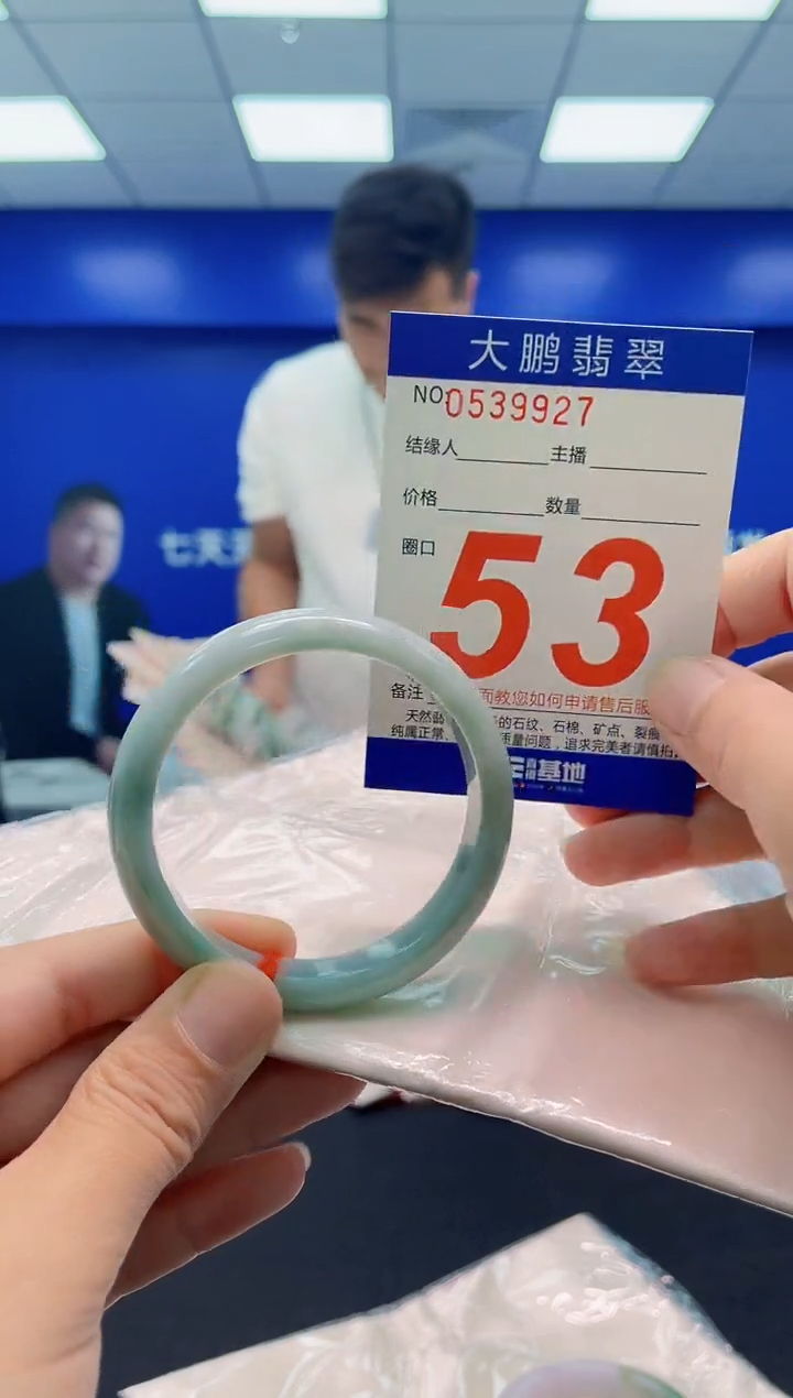 未镶嵌手镯翡翠AAAAAAAAA