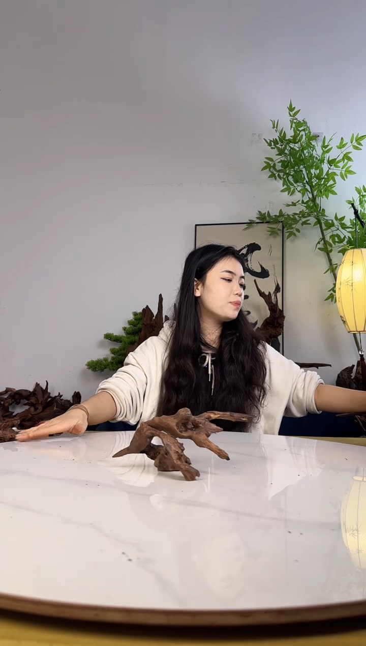 独****微拍沉木定向链接编号67-68