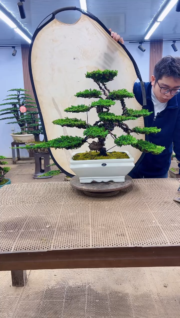 无花朵00000000000000