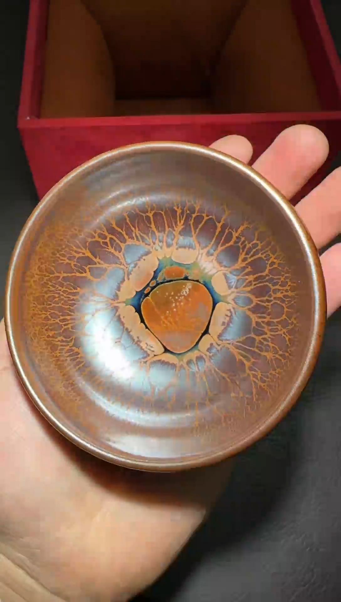 茶盏139号黄涛火莲