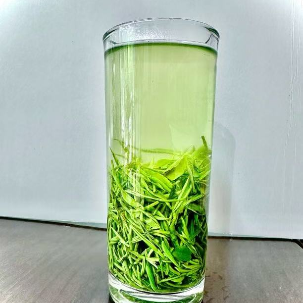 老三专属 2024信阳毛尖春茶  鲜爽耐泡  手工传统工艺  1号口粮茶