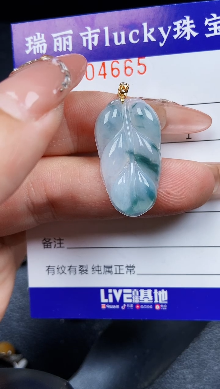 翡翠18K金镶嵌颈饰466518k