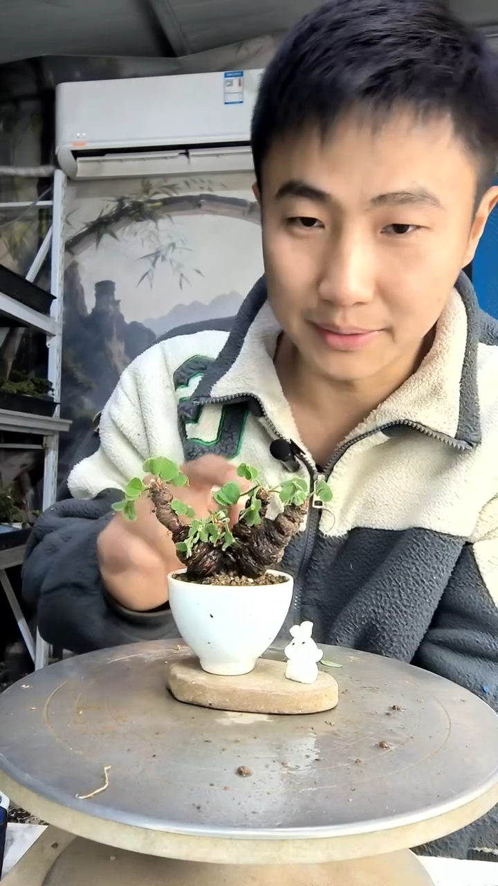 志**合中青园艺一物一拍花11