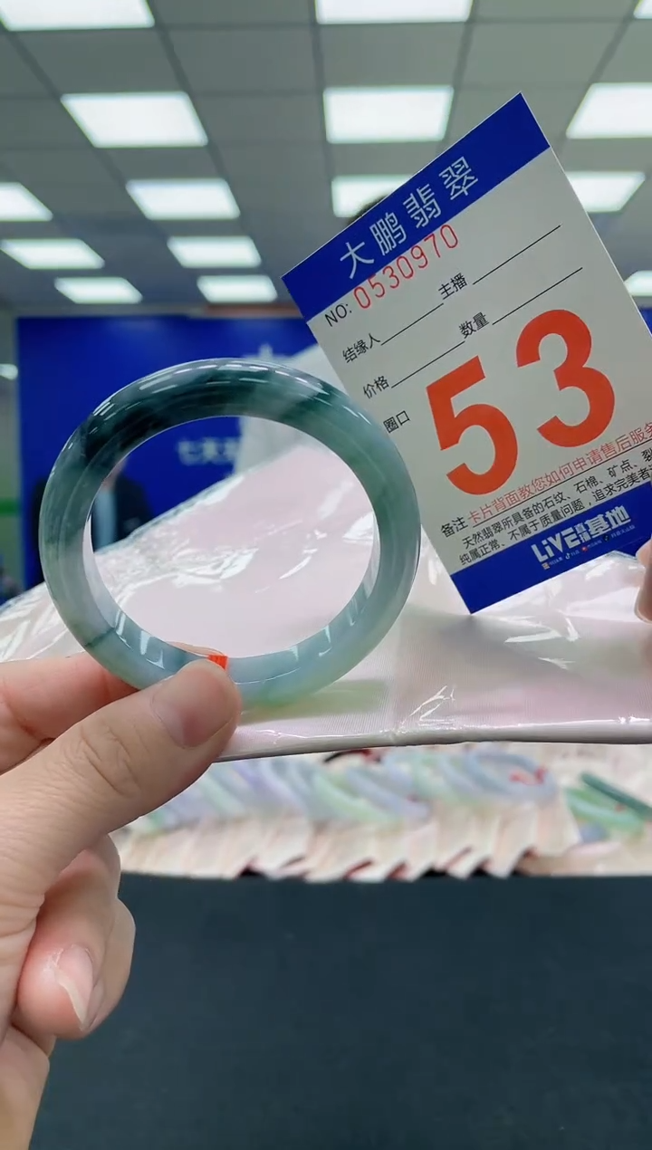 未镶嵌手镯翡翠AAAAAAAAAA