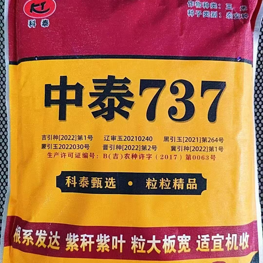 中泰737；不挑地块。大板黄粮。