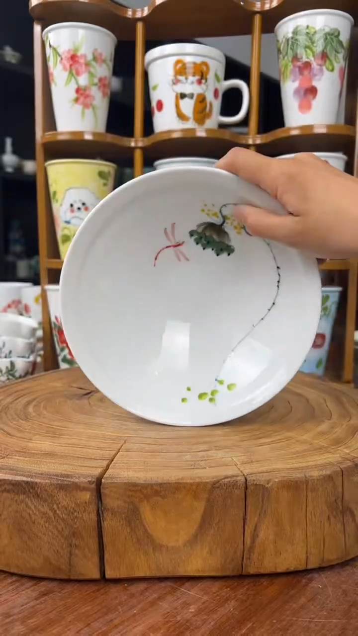 瓷片景德镇手绘釉中彩（食品级）大斗笠碗