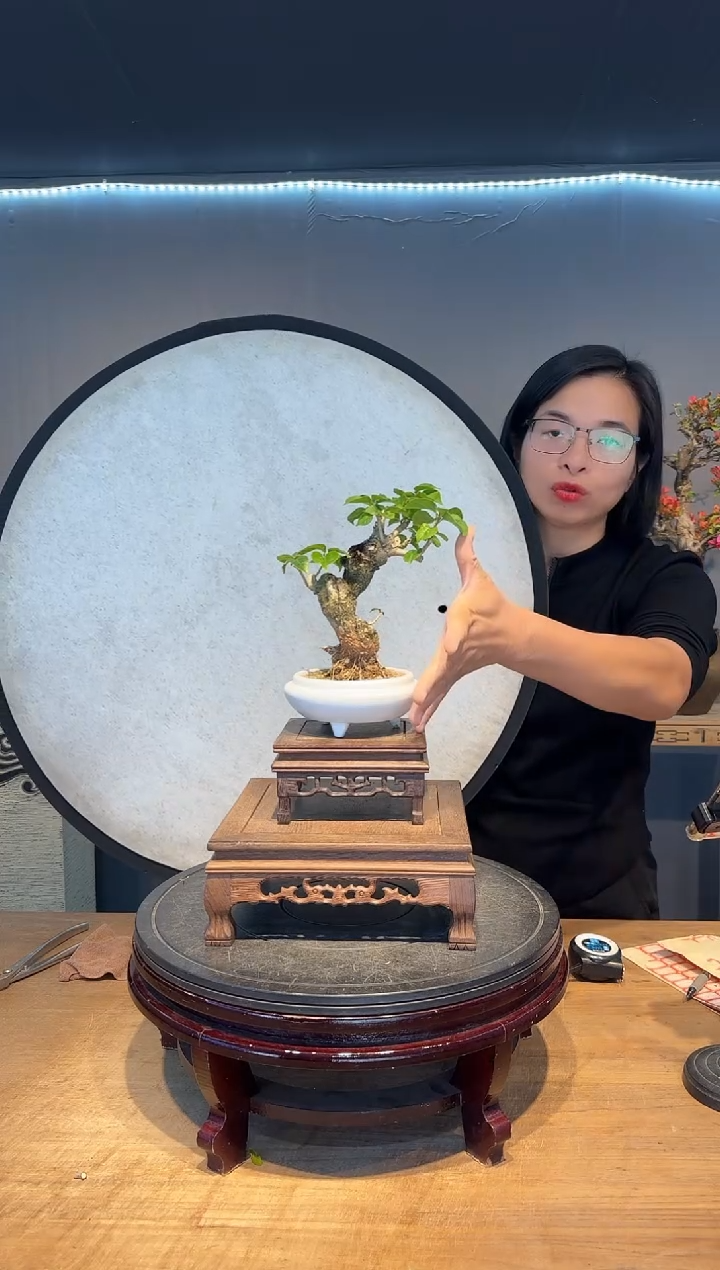 【闪购商品】紫气东来  中国红