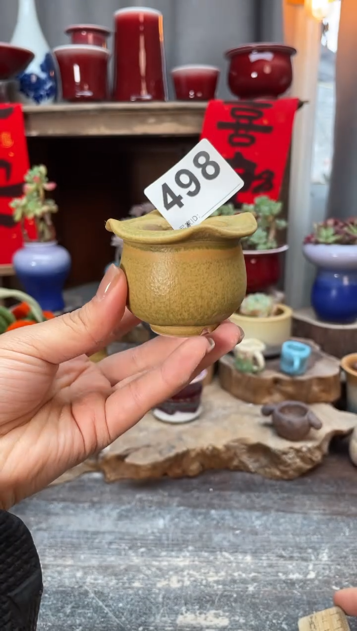 【闪购商品】摆件498知木小芳花盆