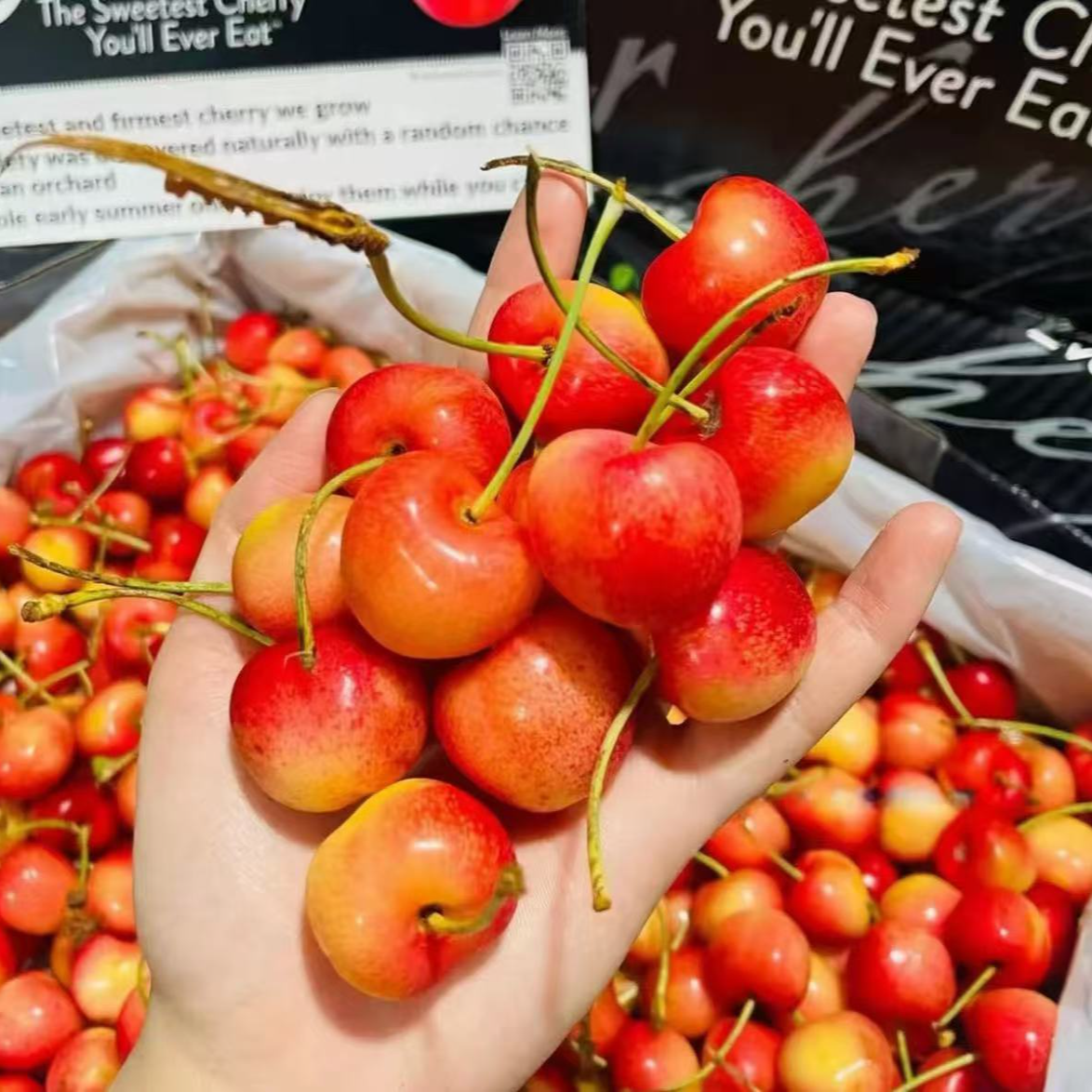 智利海运雷尼尔车厘子3J-4J礼盒4.4斤原箱装顺丰/京东内附果径卡