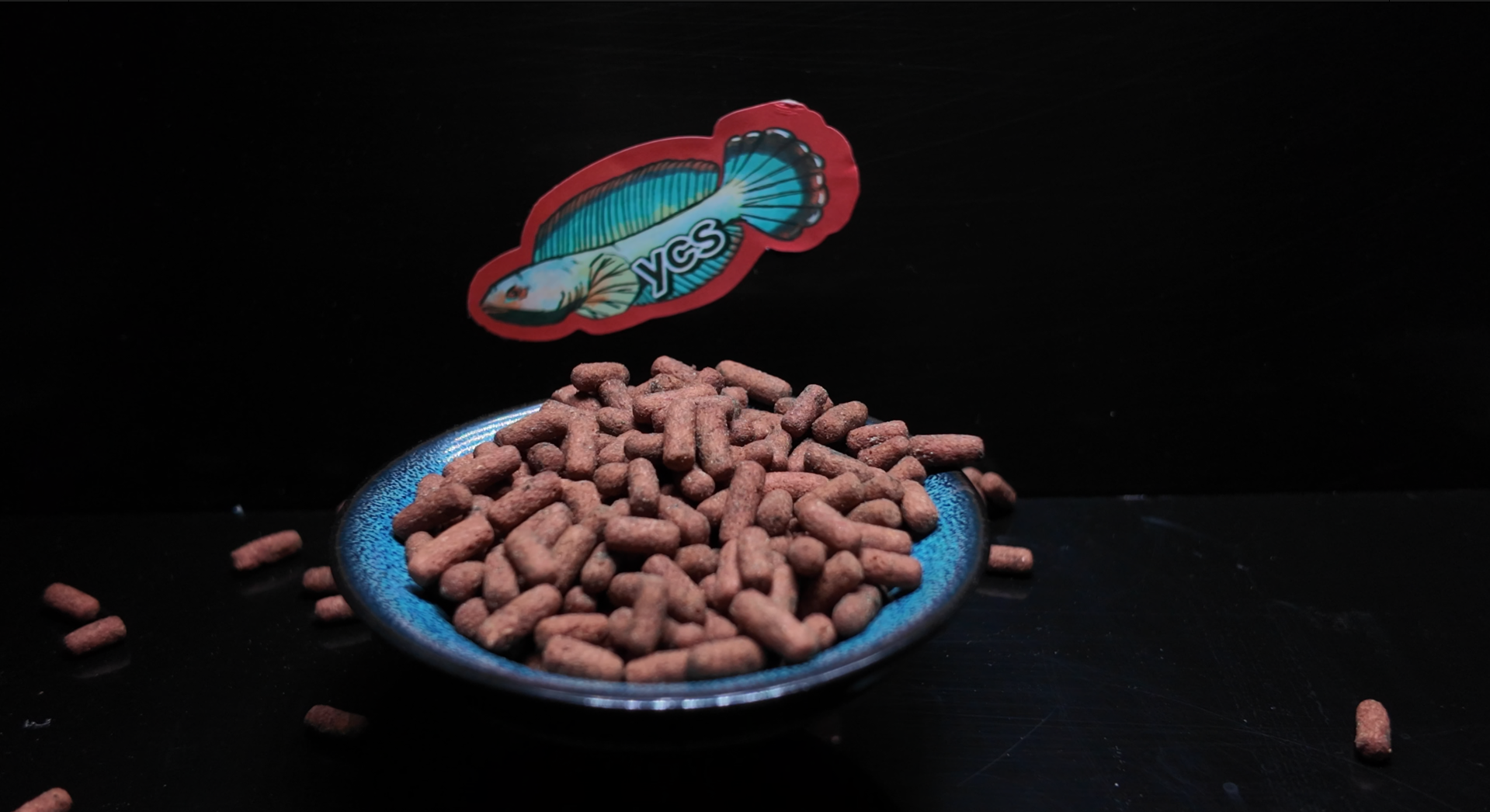 雷龙鱼涨帆尾增蓝白高蛋白饲料10g试用装