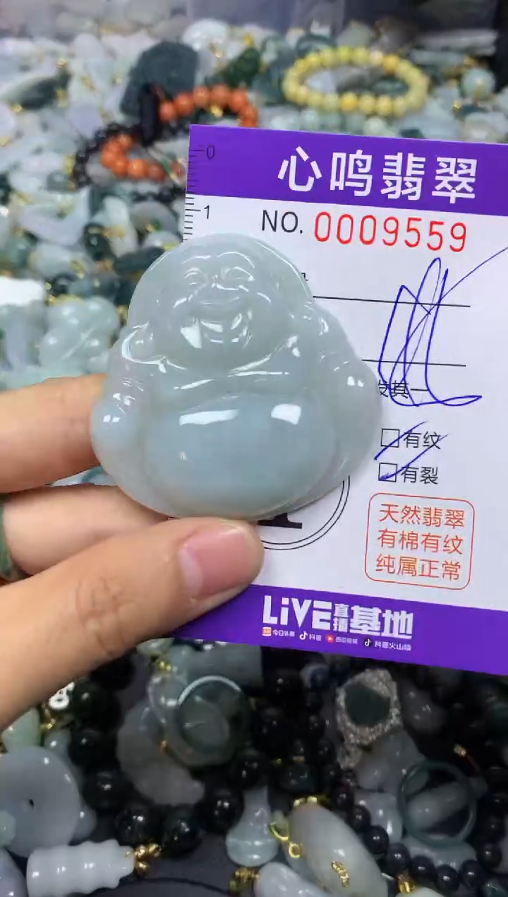 【闪购商品】翡翠颈饰未镶嵌闪购009559