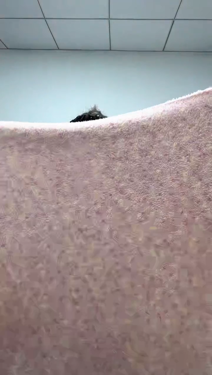 法兰绒2X1.2左右以主播所说为准