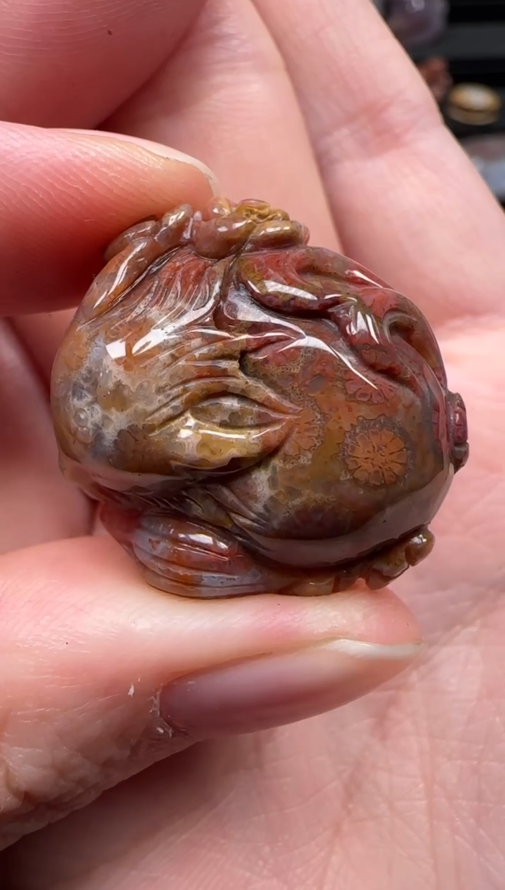 颈饰未镶嵌硅化珊瑚（珊瑚玉）878