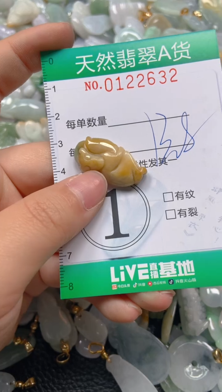 翡翠未镶嵌颈饰闪购0122632