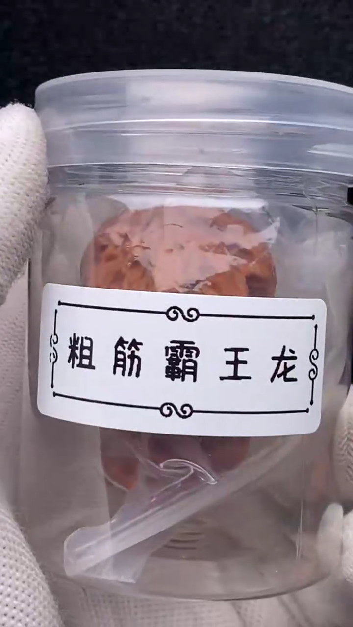 【闪购商品】文玩核桃把件粗筋霸王龙