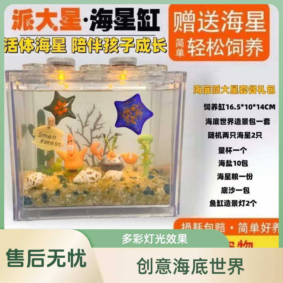 海星活体派大星饲养套餐桌面萌迷你小型懒人宠物儿童礼物网红玩具