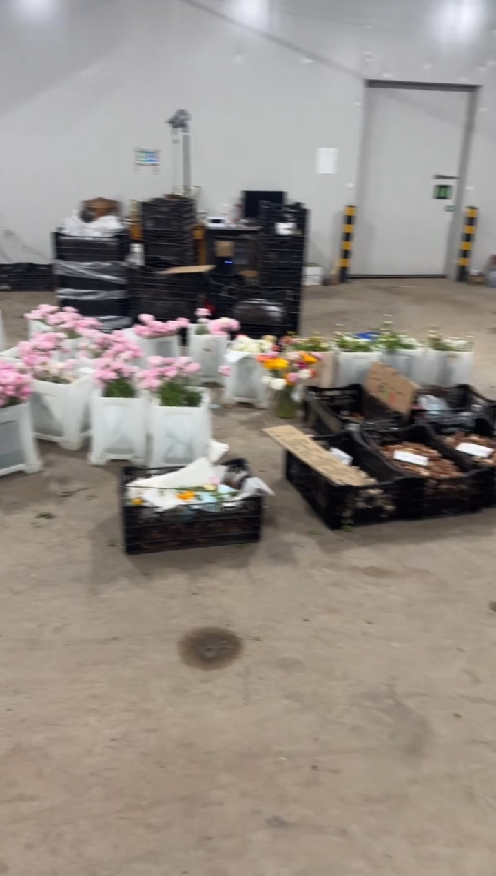 完全开放清****予108 白茶不予 