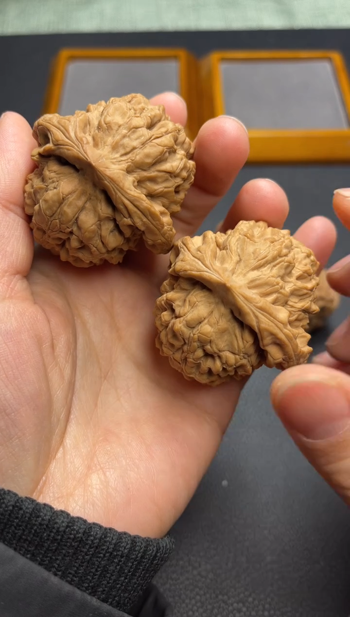 【闪购商品】桃核把件龙鼎     全品49 孟