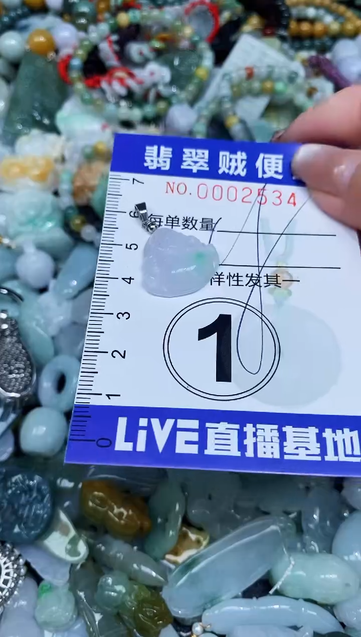 【闪购商品】翡翠未镶嵌颈饰闪购0002534