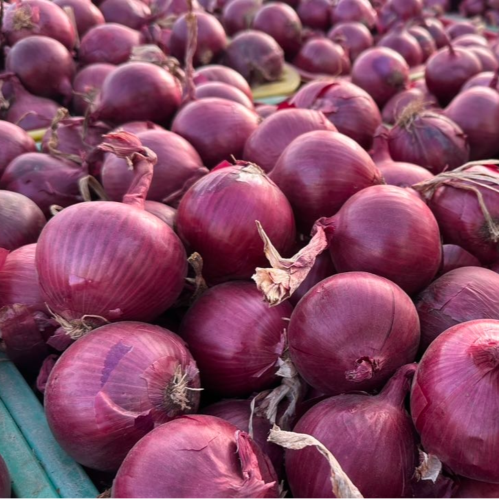 内蒙古新鲜紫皮洋葱圆洋葱口感脆甜适合炒菜凉拌MY