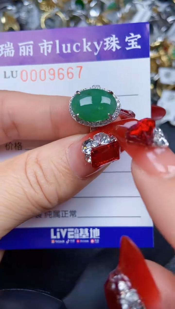 【闪购商品】翡翠颈饰银S925镶嵌9667