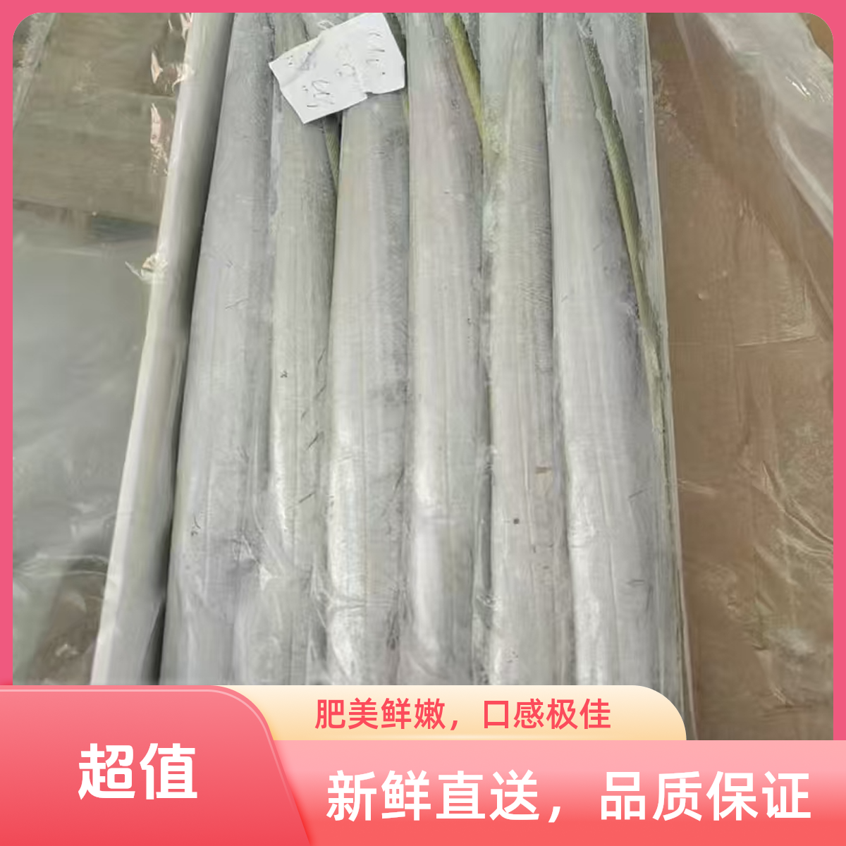 干冰带鱼礼盒装2500g五斤装